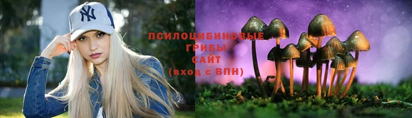 ALPHA-PVP Алексеевка