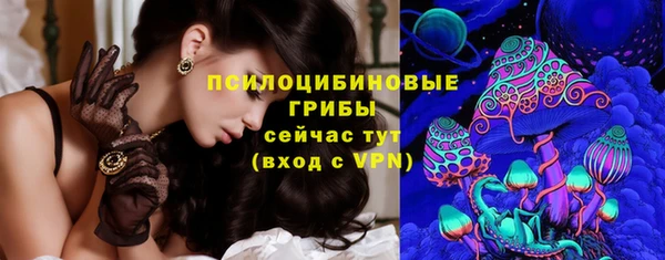 дживик Алзамай