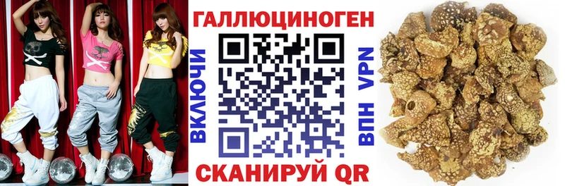 Галлюциногенные грибы Magic Shrooms  Купить закладки  Богородск 